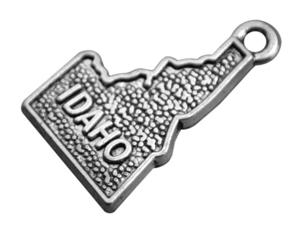 50 шт. карта Айдахо старинные серебряные подвески очаровательные серьги ручной