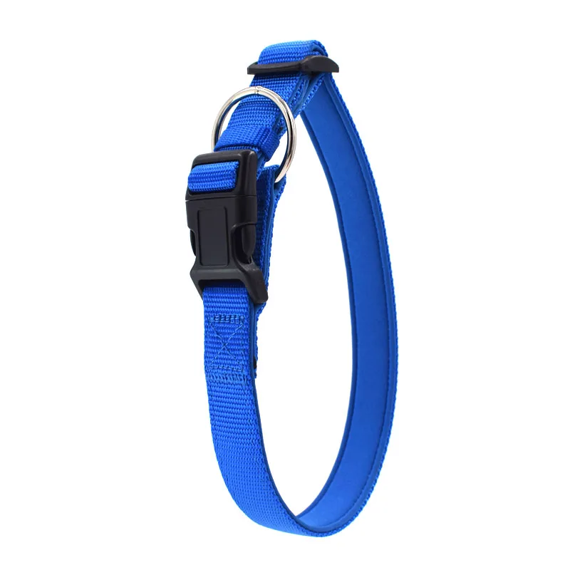 Ошейник для собак ошейник щенков поводки аксессуары нейлон|Ошейник дрессировки|