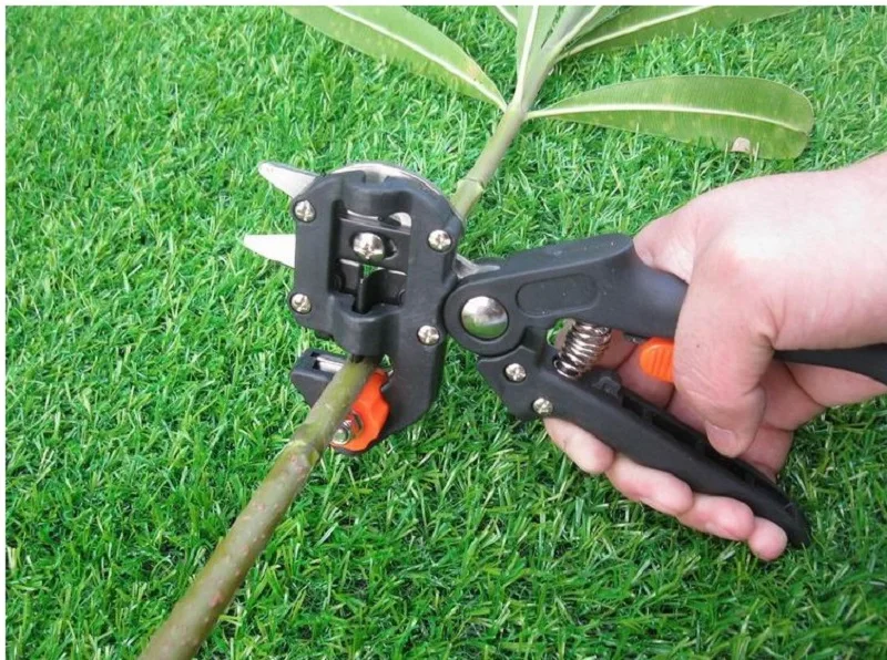 Профессиональные садовые ножницы для обрезки фруктовых деревьев прививочный