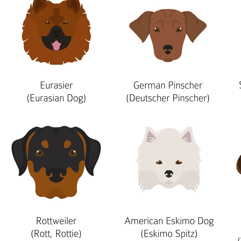 Немецкая собака порода постер настенная живопись холст для домашнего животного