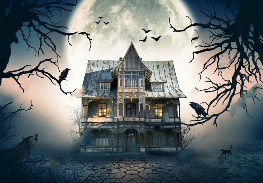 Haunted House Full Moon tree wolf photography backgrounds High quality Computer print Halloween photo backdrop | Электроника