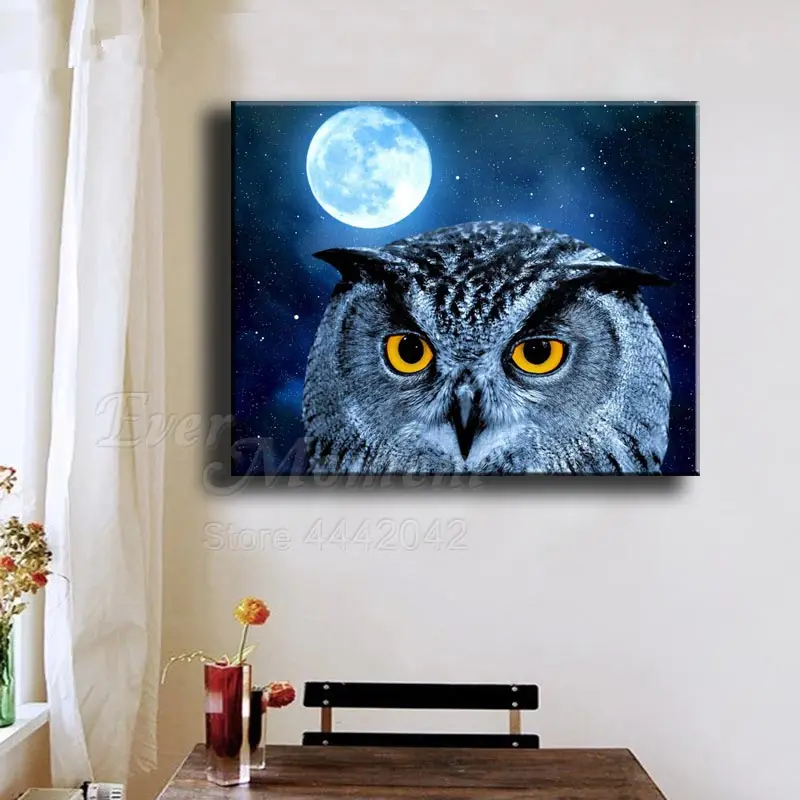 Когда-либо в настоящий момент 5D DIY алмазная живопись Сова задний фон луна ночь