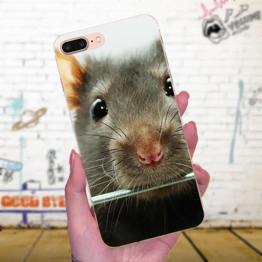 Мягкий ТПУ чехол для iPhone 4 5 5C 6 6S 7 8 Plus X XS Max XR модный сотовый Чехол с милыми