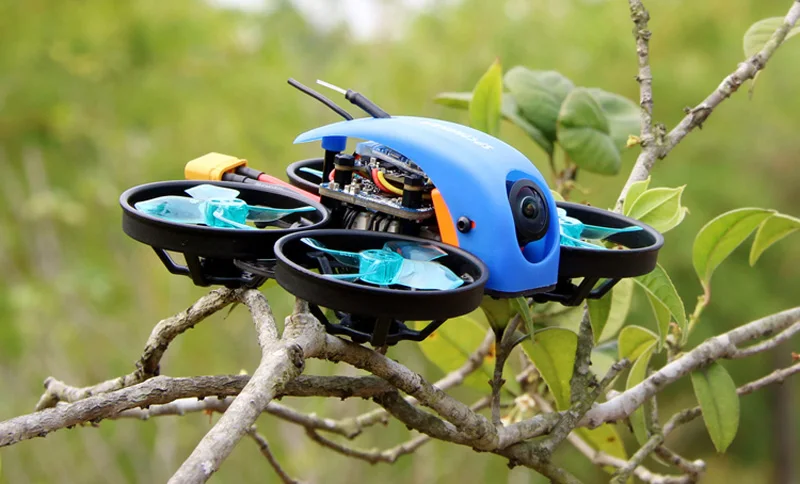 1 шт. SPCMAKER Mini Whale FPV Racing RC Дрон 78 мм 1080P карта записи Fs rx2A/R6DSM/FUTUBA приемник Runcam Split