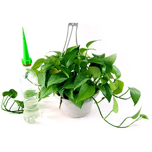 4 шт./лот автоматическое орошение бутылок садовые конусные поливки растений