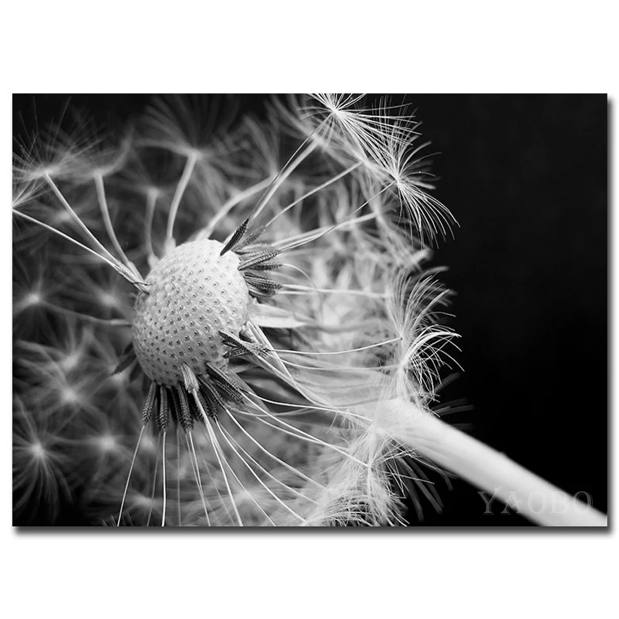 DIY 5D Diamond Embroidery Black and white Dandelion Painting Full Square Cross Stitch Rhinestone Mosaic Handmade gift | Дом и сад