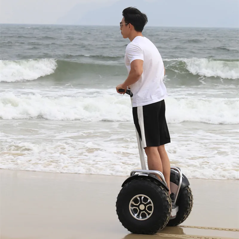 

Daibot Powerful Electric Scooter 19 Inch Two Wheesl Self Balancing Scooters Off Road Hoverboard Skateboard For Adults