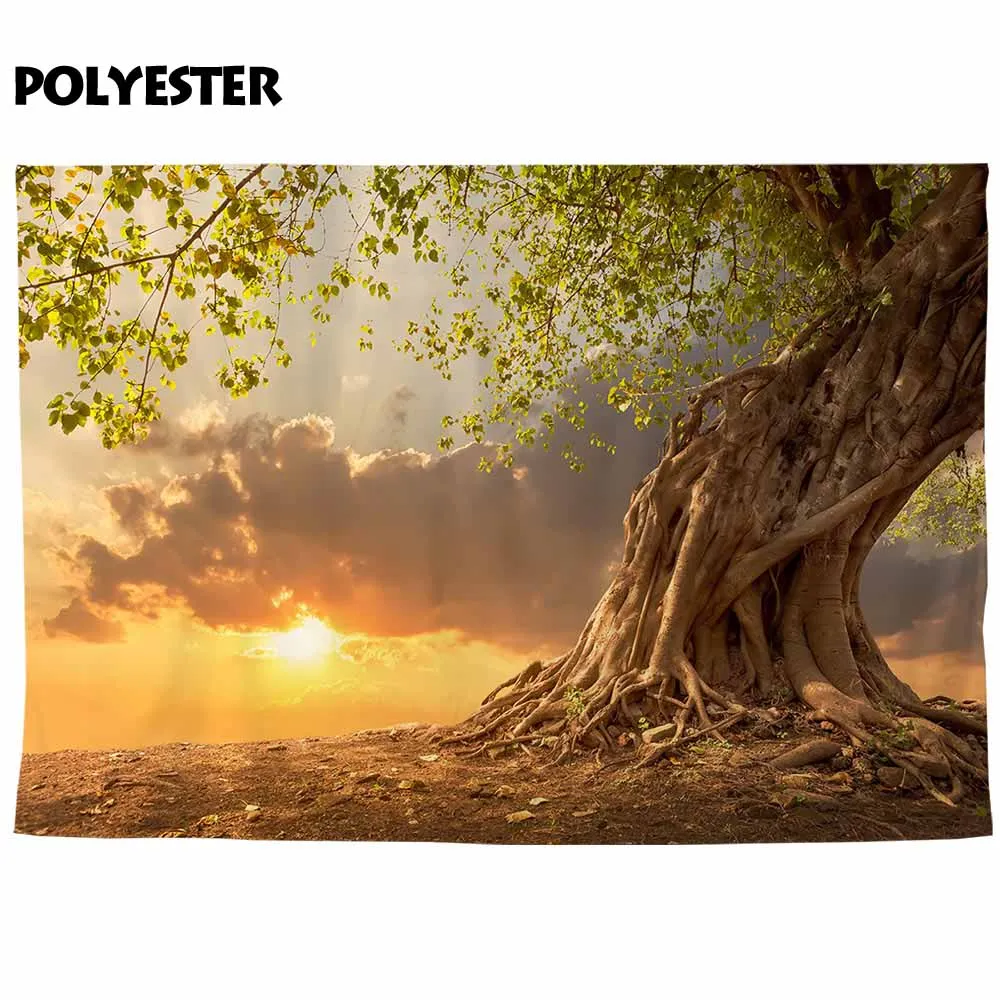 Allenjoy фоны для фотостудии красивый закат пейзаж большое дерево опавшие листья