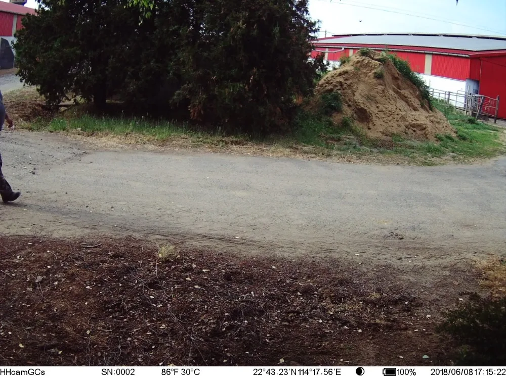 4G gps охотничья камера Trail ночного видения с FDD/GSM/MMS/SMTP фото ловушки игры Охота Дикая камера Chasse 4G охотничья камера ловушка