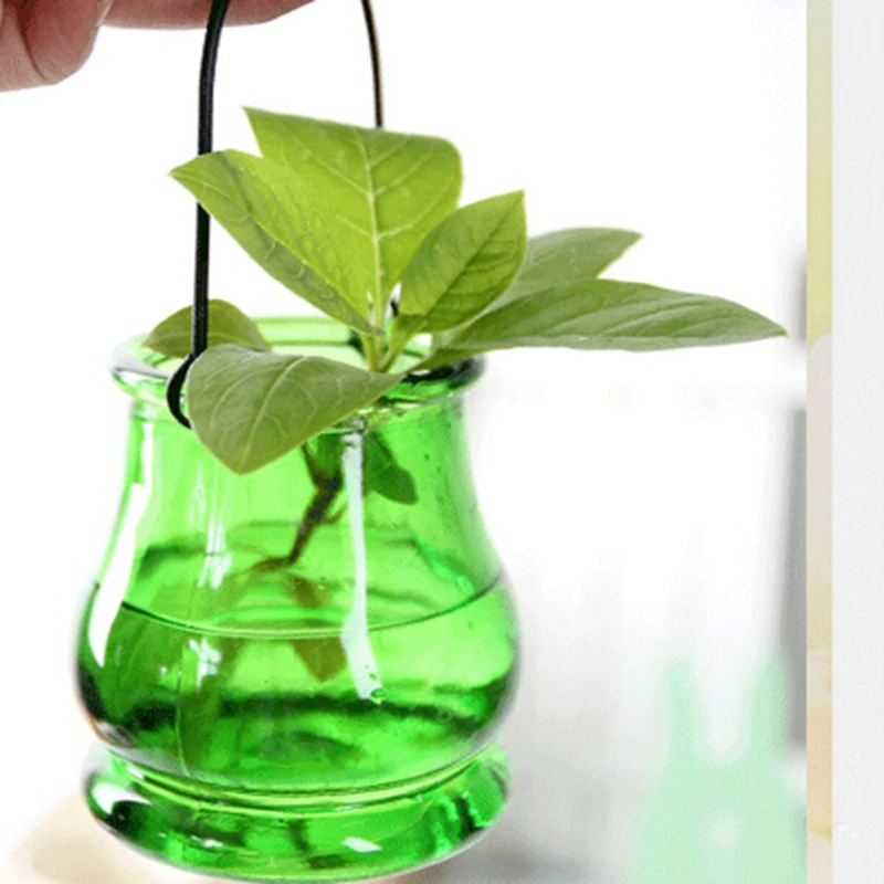 2 шт./пакет декоративные вазы большая инфузионная сумка или бутылка гидропонный