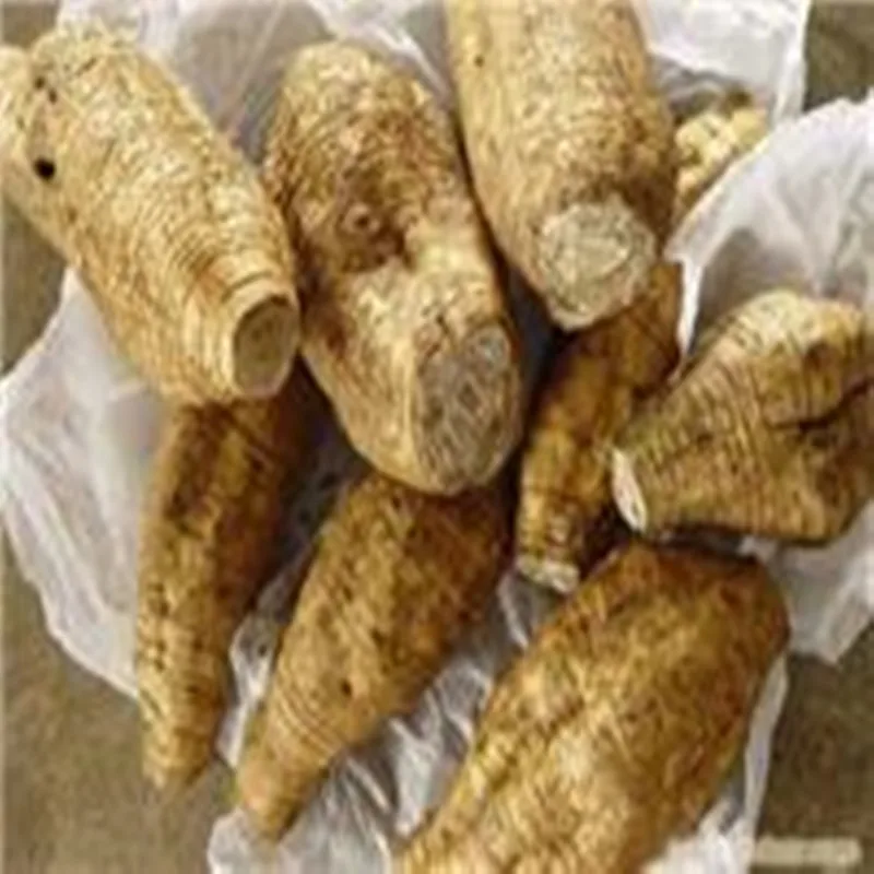 100-1000 г Чистый Экстракт порошка Ashwagandha 30: 1, withia Somnifera, экстракт индийского женьшеня порошок, аюрведический экстракт Ashwagandha