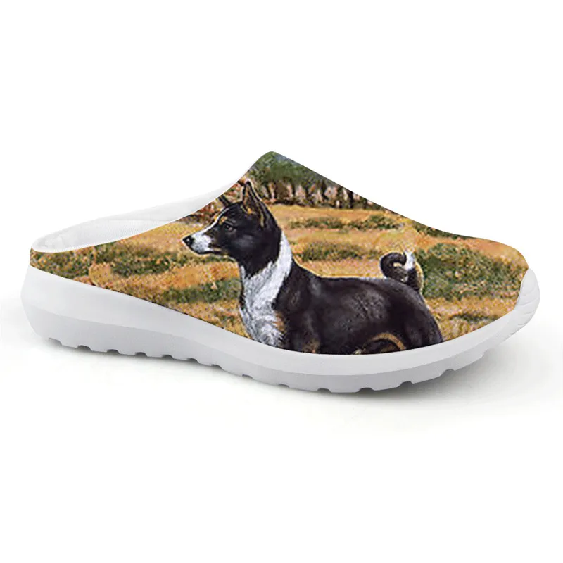 Новое поступление летние разноцветные женские туфли Basenji на плоской подошве с