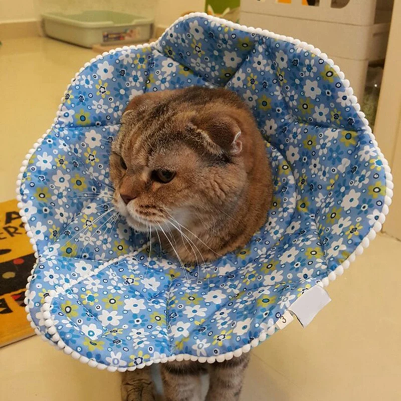 Коты регулируемые самоклеющиеся Pet Elizabeth защитный Восстанавливающий ошейник