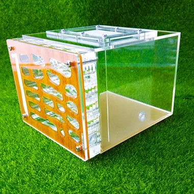 2018 горячая муравьиное гнездо клетка для насекомых сельскохозяйственная