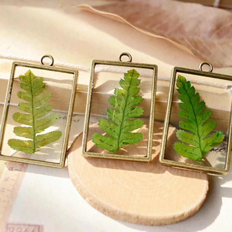 Ручной работы Pteridophyte с лечебным действием образцы Кристалл Террариум