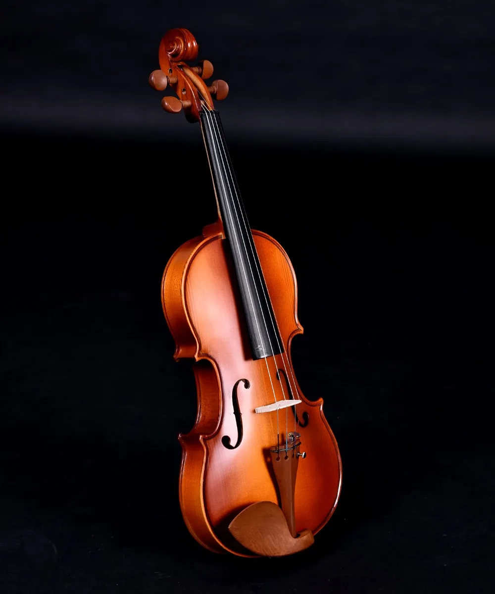 Caterina Va203 Скрипки начинающий |beginner violins|violinviolin beginner |