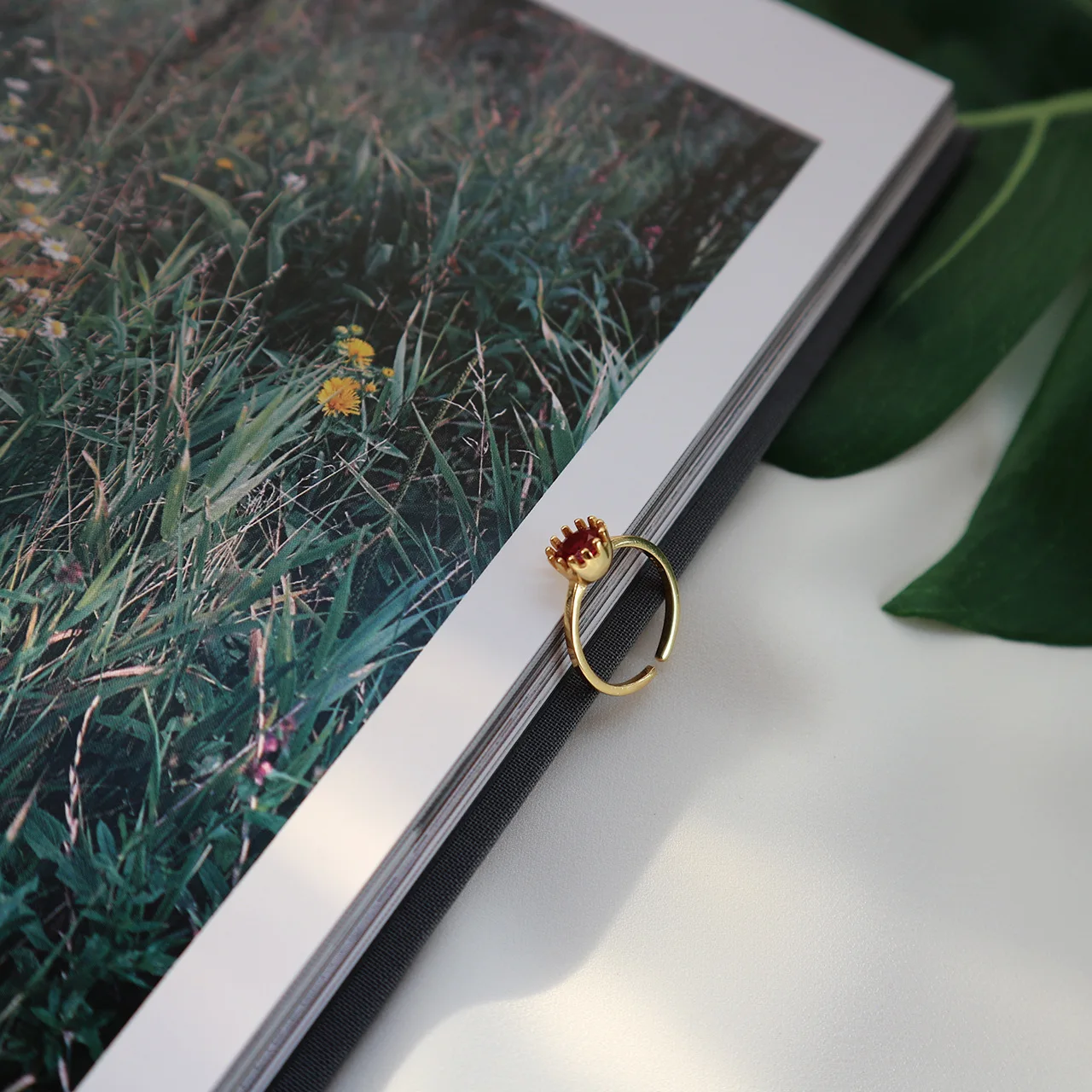 Of the cat South Korea han edition S925 pure silver ring personality The red corundum mustard | Украшения и аксессуары