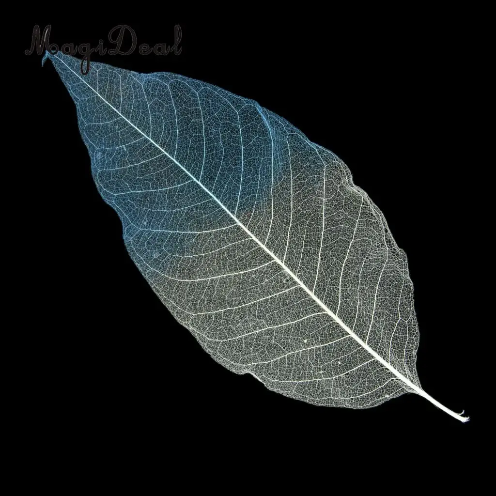 Натуральные листья скелета магнолии 100 шт. украшение для поделок сделай сам