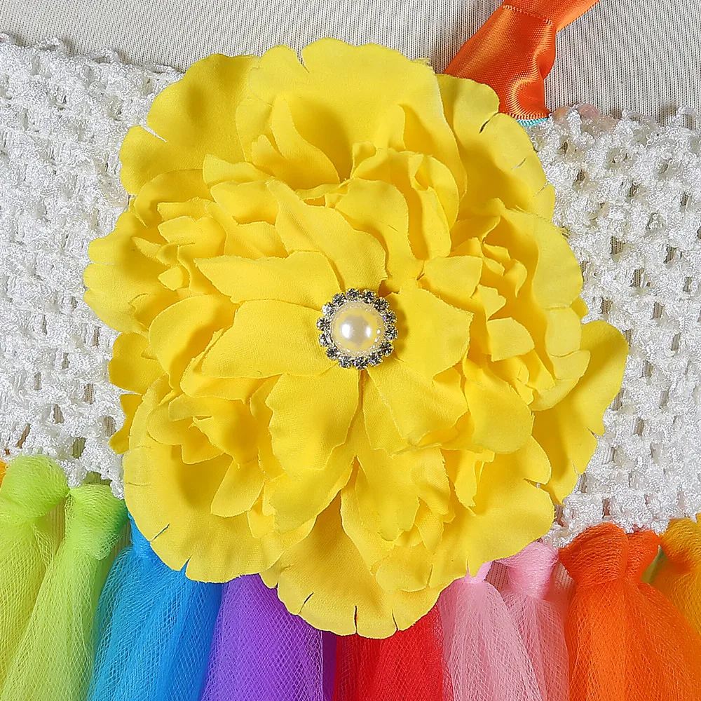 Красочное Радужное Цветочное платье-пачка для девочек детское бальное платье