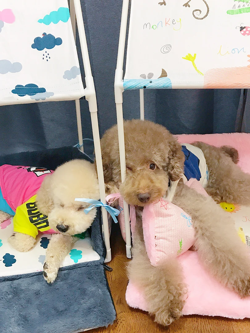 Складной Домик принцессы для домашних питомцев с легким маленьким животным