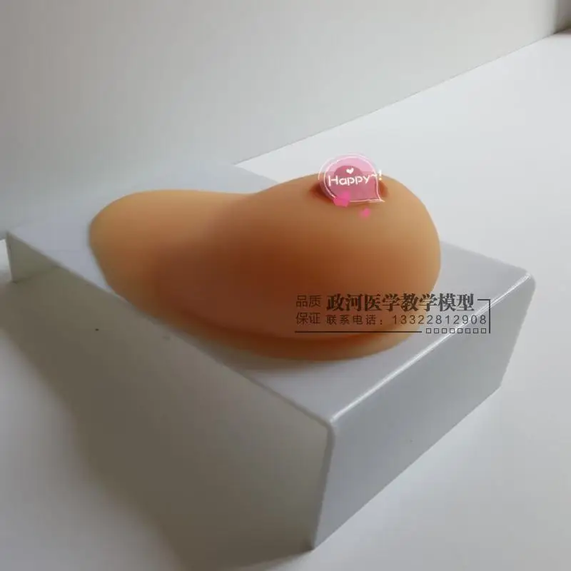 Односторонняя силиконовая модель груди для лактации деление пролактина