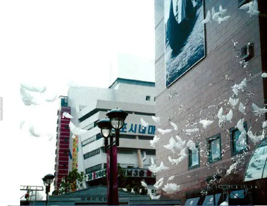 200 шт./лот Бесплатная доставка Свадебные биоразлагаемые белые голубь шары для