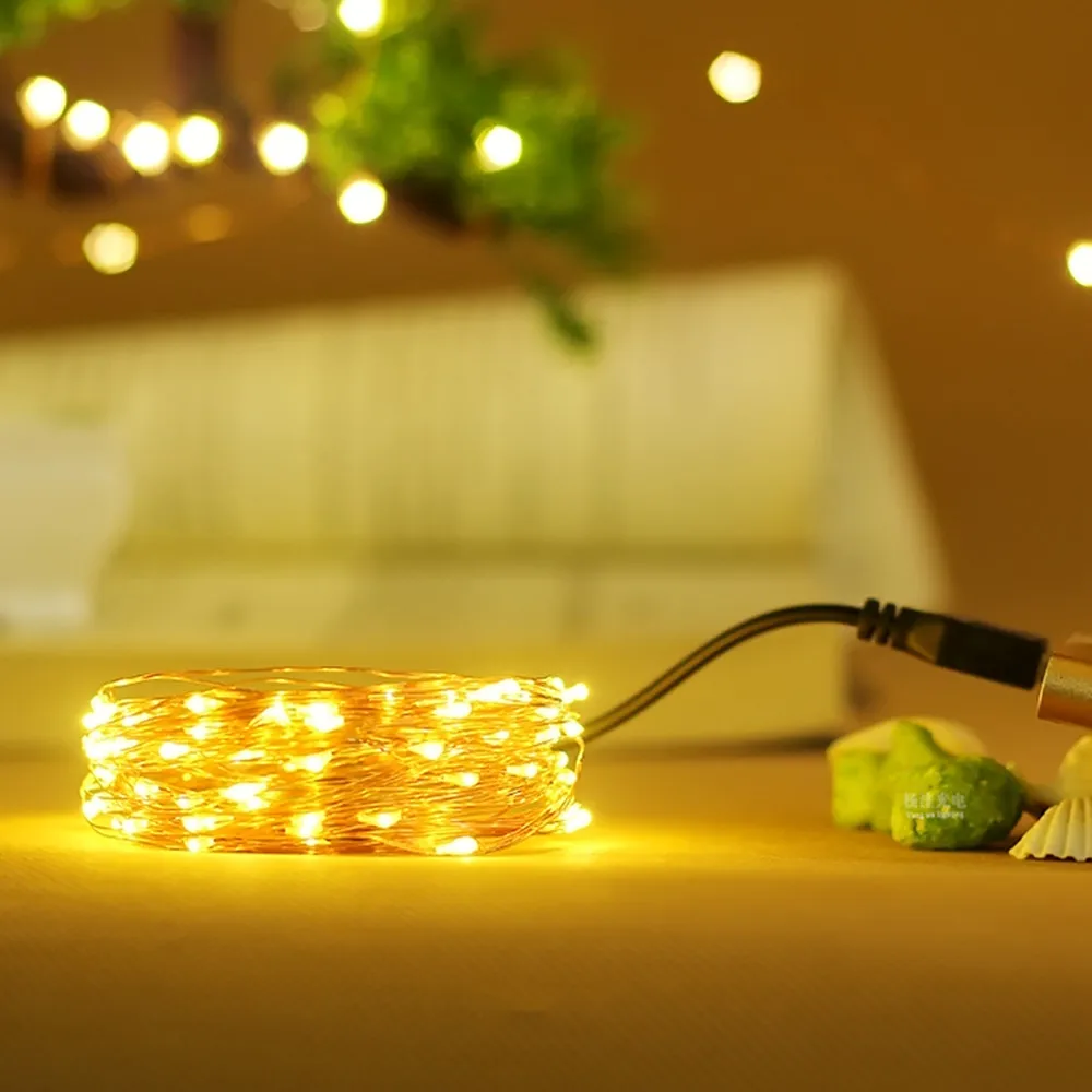 YIYANG 5 м 10 м светодиодный медный провод свет шнура usb зарядка Защита окружающей среды лампа Праздничная Свадебная вечеринка Новогоднее украшение