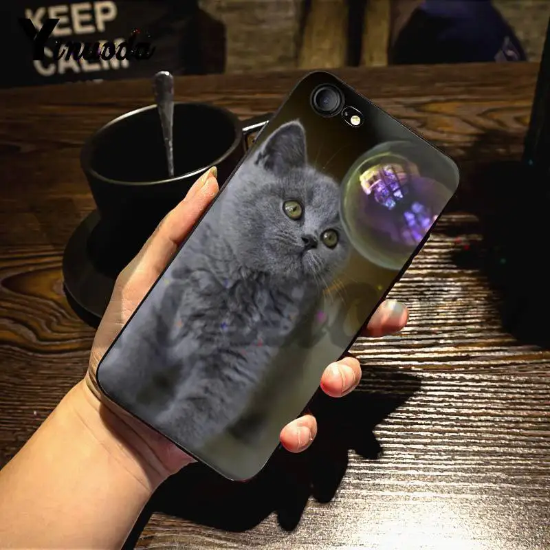 3 Yinuoda для iphone 7 6 X Чехол Британский короткошерстный Кот Топ Дизайн чехол для телефона для iphone 7 6X8 6s Plus 5 5S XS XR чехол - Цвет: 3