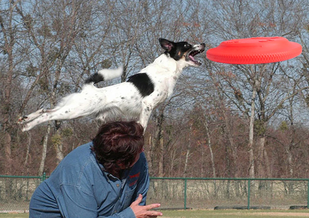 

Pet Dog Disc Toys Flying Disc Multi-purpose Floating Dog Disc Toy Dog Training Toy
