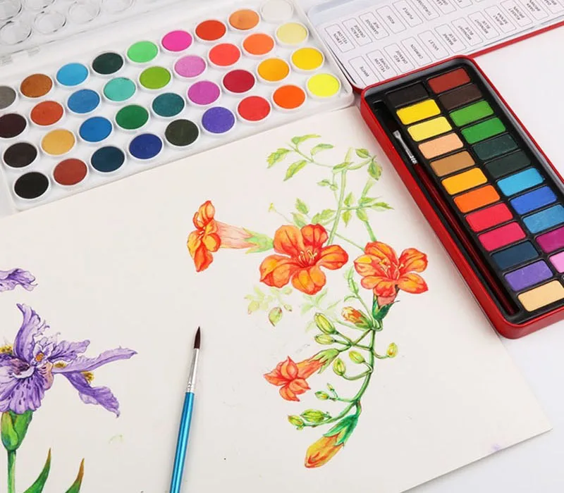 Professional акварель набор красок Твердые акварельные Aquarelle коробка цвета книги по искусству краски ing для инструменты для художников наборы ухода за кожей 18/24 цвета