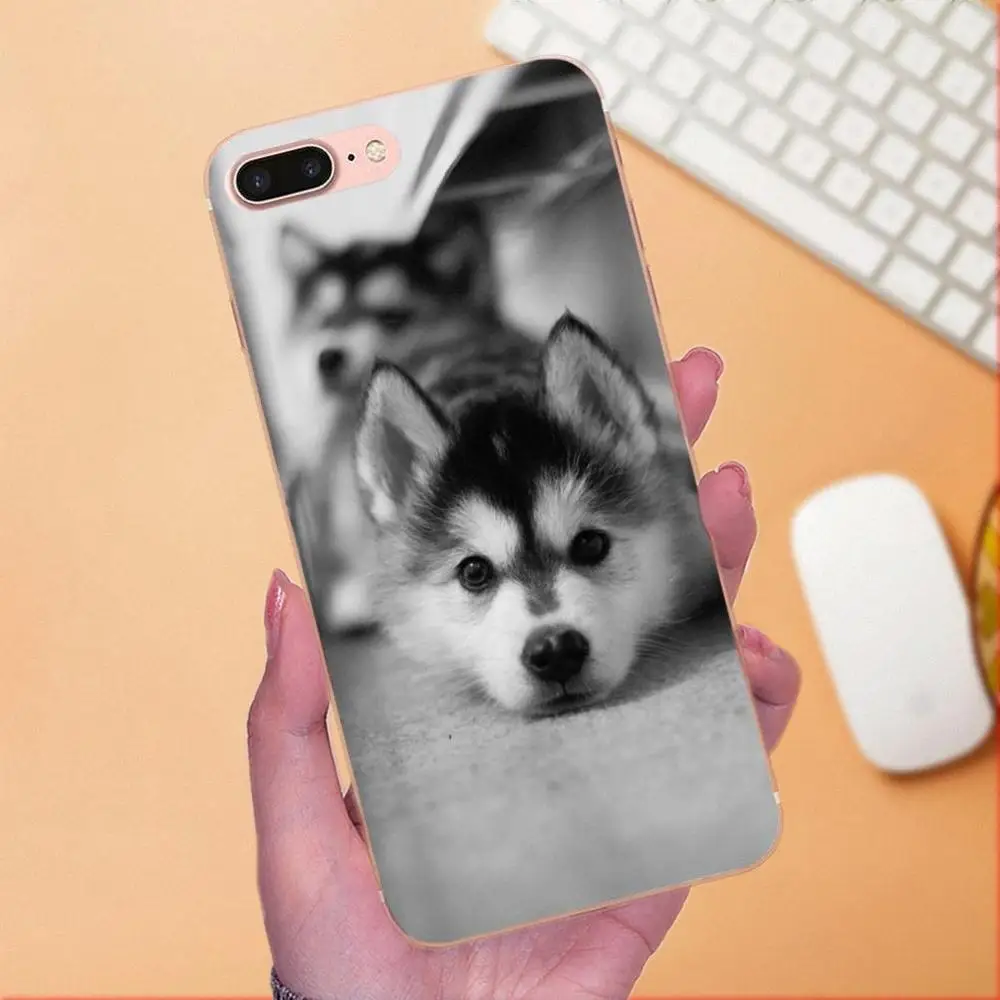 Ультратонкий чехол для телефона Sony Xperia Z Z1 Z2 Z3 Z4 Z5 compact Mini M2 M4 M5 T3 E3 E5 XA XA1 XZ Premium Husky Dog