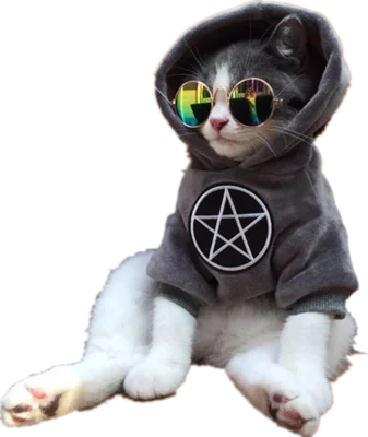 Костюм Кошки для собаки кошки одежда домашних питомцев симпатичная Костюмы