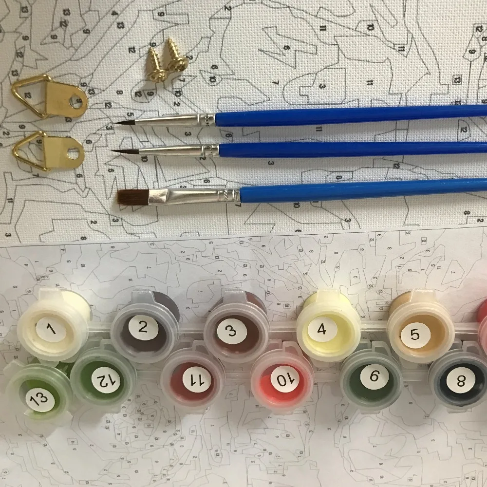 DPF Безрамное картина с изображением совы DIY живописи по номерам цифровой