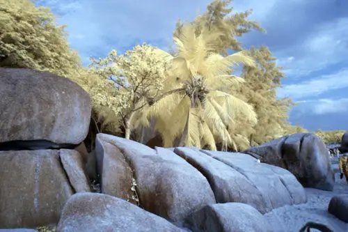 Инфракрасный фильтр 82 миллиметровый 850нм ИК инфракрасный для объектива X Ray|filter