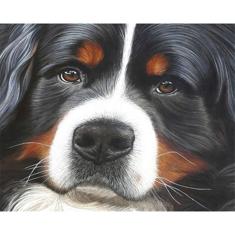 Depressed dog black Animal DIY Цифровая живопись по номерам Современная Настенная холст