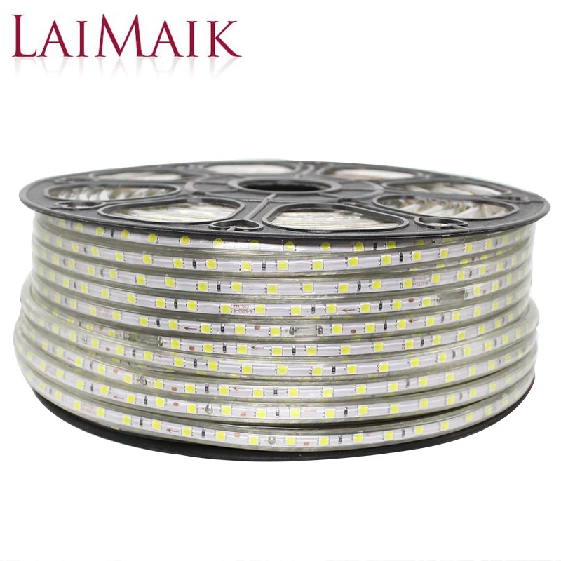 

LAIMAIK LED Strip Light 220V Waterproof IP67 led flexible strip 60leds/m 5050SMD rgb led strip warm white/white With Power Plug