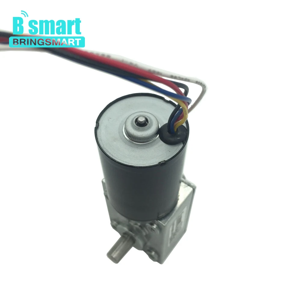 Bringsmart 5840 3650 бесщеточный двойной вал 12В 24В DC турбо червячный редуктор мини