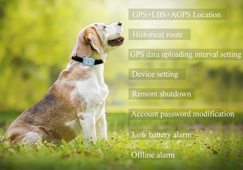 Смарт-Водонепроницаемый IP67 MiNi Pet gps в gps фунтов следящее устройство ошейник для собаки кошки на gps фунтов sms-позиционирование geo-загородка устройство слежения
