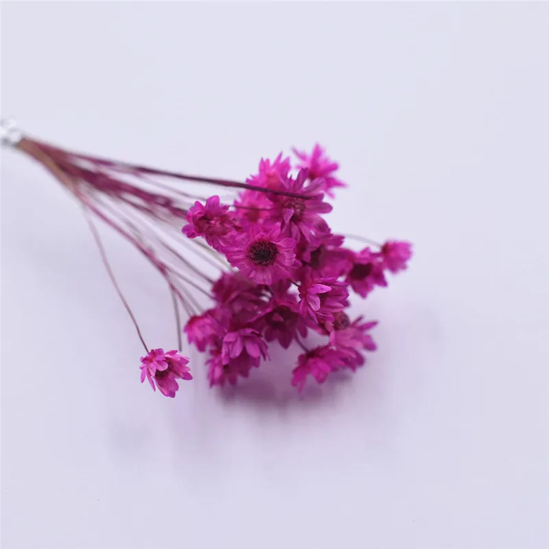 hot pink 30 шт. милая маленькая Маргаритка Натуральные сушеные цветы декоративные изделия стеклянный глобус наполнитель для силиконовой формы ювелирных изделий diy - Цвет: hot pink