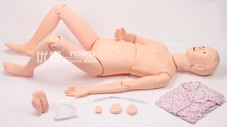 Многофункциональная модель человеческого тела медицинской практики ухода за