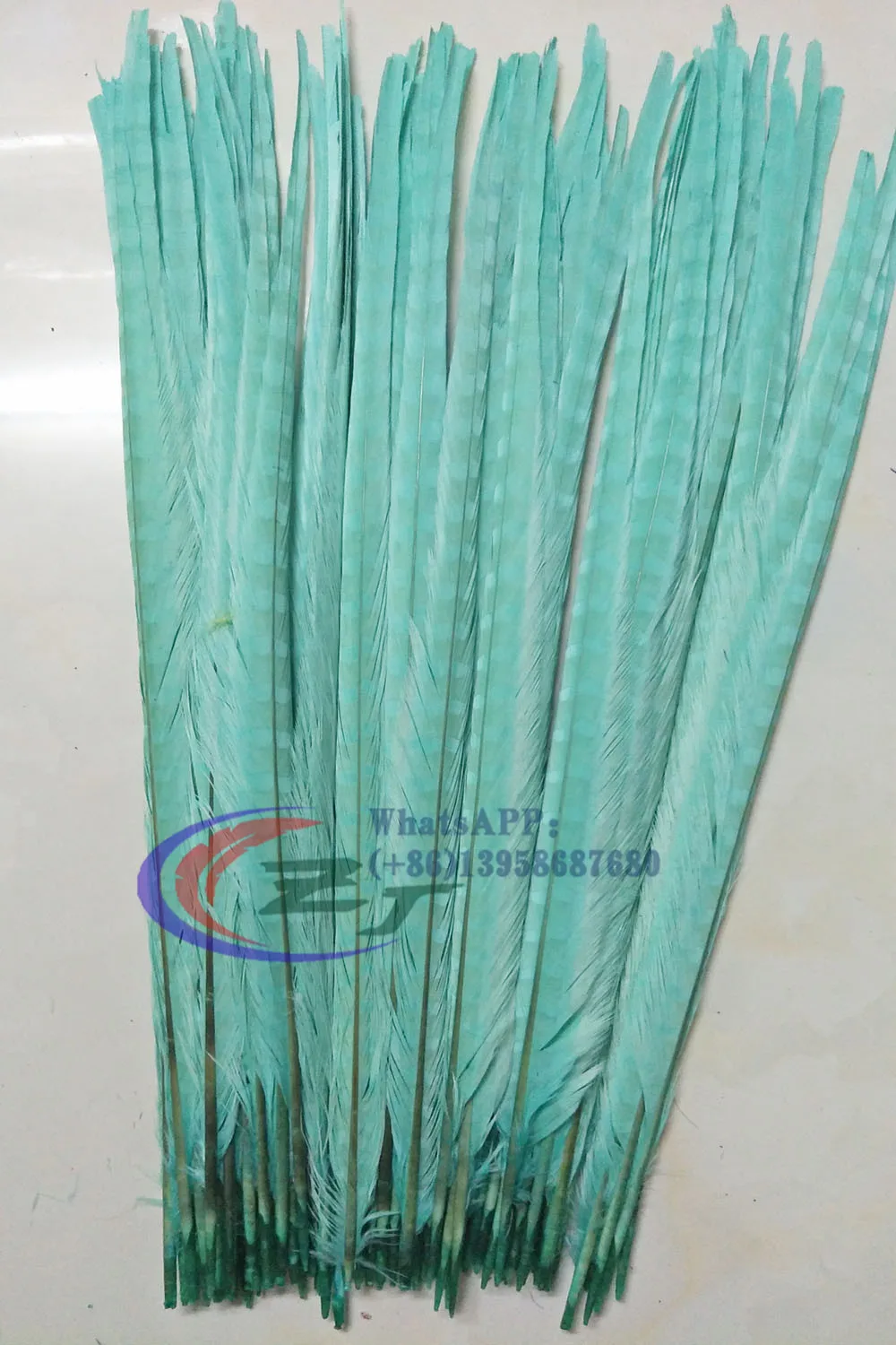 

New 100pcs 50-55cm 20-22" Pheasant Feather Bleached & Dye Mint Green Ringneck Pheasant Tail Feathers For Carnival