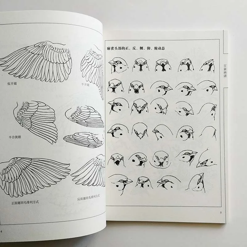 Книга-раскраска Wang Manliang 96 страниц искусство воробей раскраска антистресс для