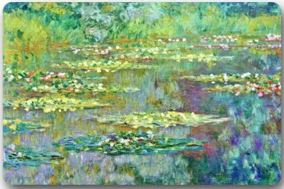 Памятные домашние Водяные лилии от Клода монета прямоугольные подъездные