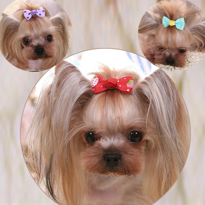 3 шт цвет случайный собака котенок Щенок Милый уход за питомцем цветочный твердый