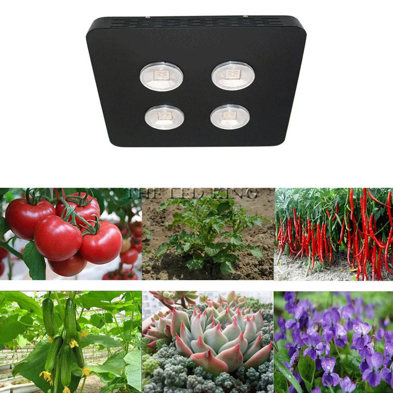 Светодиодная лампа полного спектра для выращивания растений 9 60 Вт 2000 1000 3000 4000