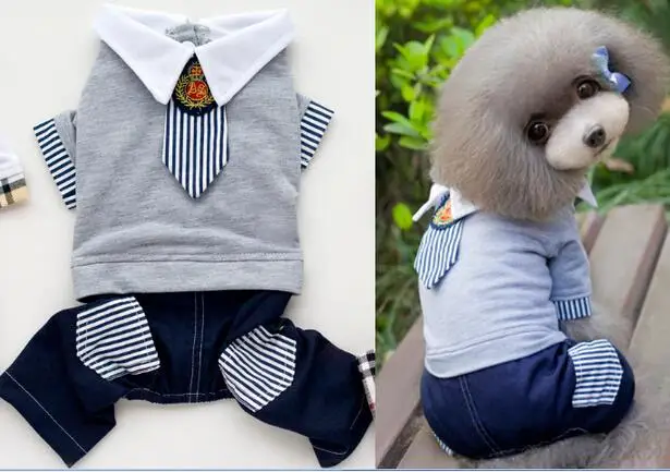 New Summer Dogs Clothing Cute Pet Pants school uniform Free Shipping By China Post whole sale | Дом и сад