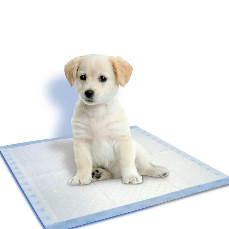 10 шт Супер Абсорбирующие одноразовые подгузники для собак|Шорты собак| |