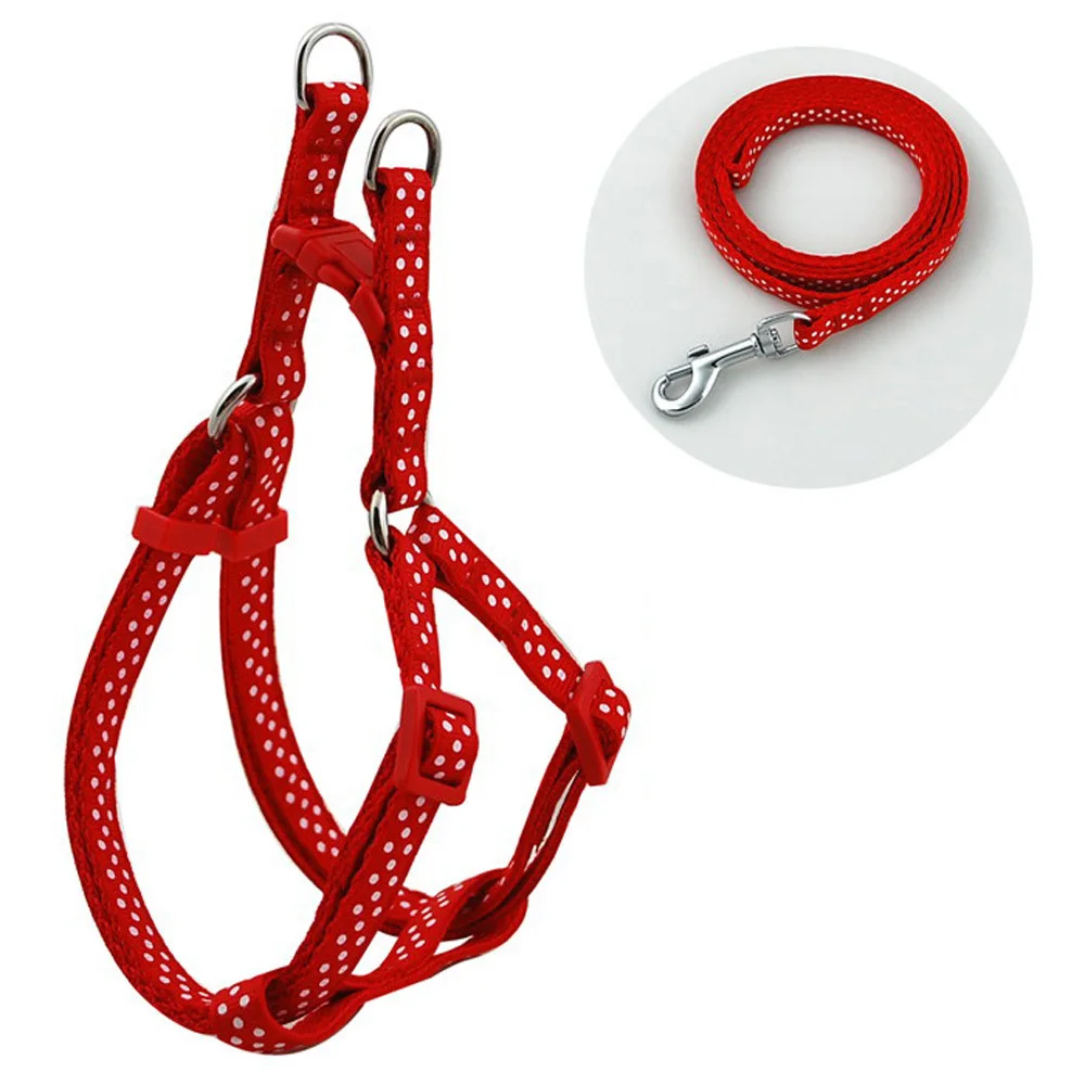 Поводок нейлоновый в горошек для прогулок ширина 1 0 см|pet harness|leash setwalking leash |