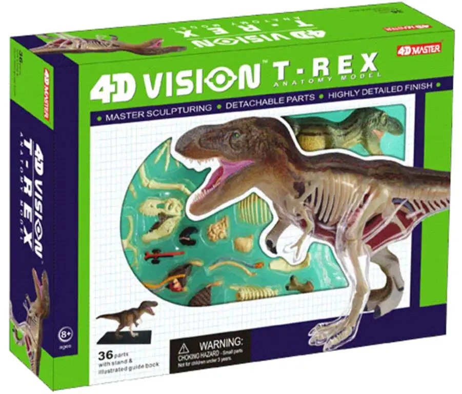 4D Tyrannosaurus rex medical model of anatomy of dinosaur organs free shopping