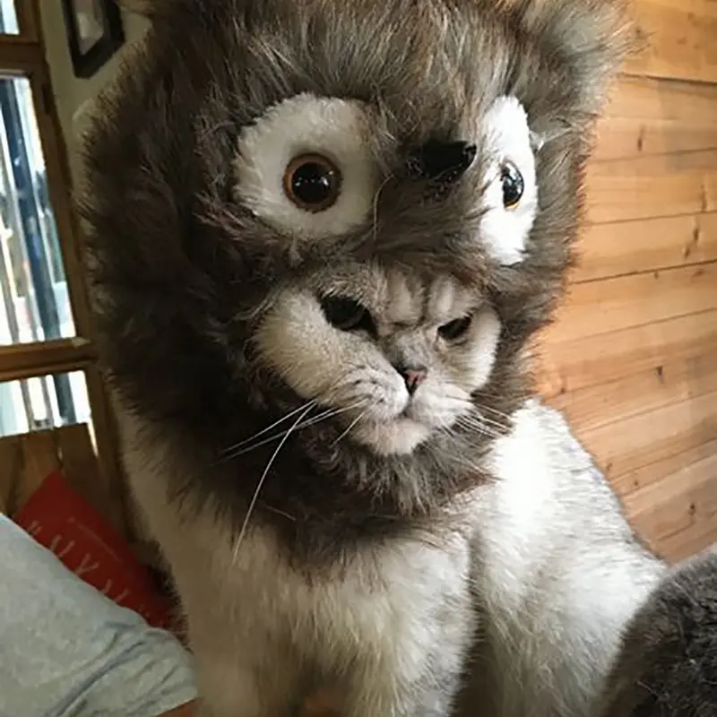 1 шт. Забавный костюм для питомца Hoomall шапка костюмированной вечеринки котенка